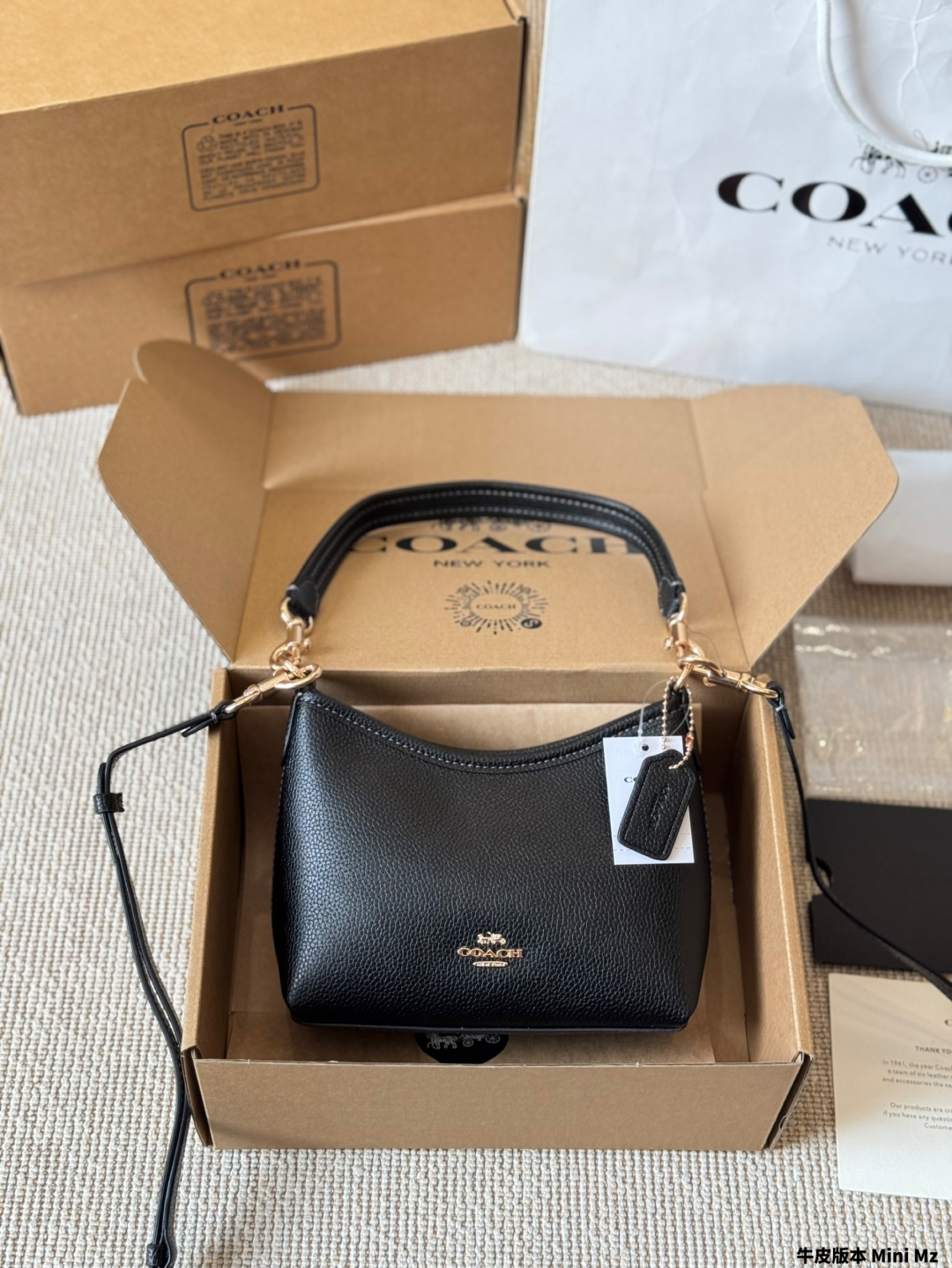 coach bag 403